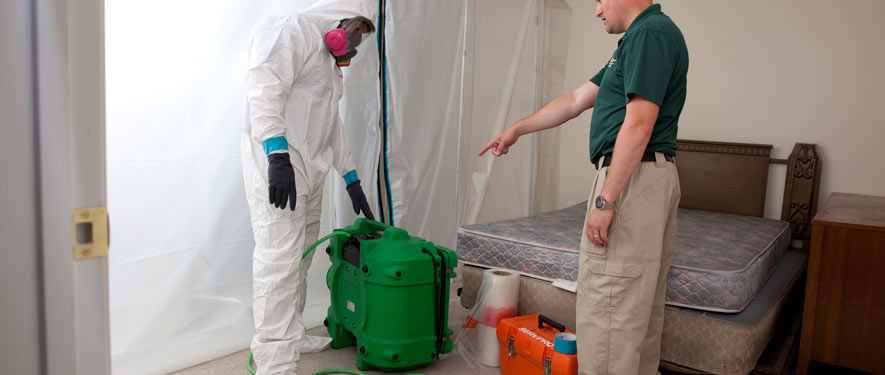 Dallas, TX mold removal process